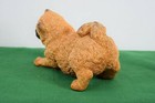 Whiskers Chow  Red By Martha Carey  2612  In Mint Condition 