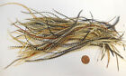100 Whiting Metz  Rooster Saddle Hackle Fly Tying Feathers Asst Grizzly Etc Lot