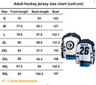 Personalized Adirondack  thunder X Stockton  thunder Fphl 2026 Hockey Jersey V3