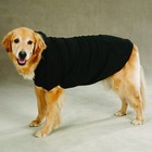 Soft Comfy Fleece Lined Dog Hoodies From Zack   Zoey 4 Colors 7 Sizes