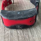 Sportdog Tek 2 0 Locate Only Gps E-collar - Fair Condition - Red Strap