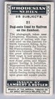 1928 Lambert   Butler Rhodesian Series Tobacco Card  21 Dug-outs Used By Natives