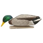 Avian X Topflight Floating Backwater Feeder Mallard Duck Hunting Decoys  6 Pack
