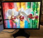 Nec Multisync Lcd2190uxp W 21  Monitor 1600x1200
