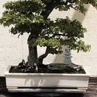  Handmade Rocks Statues Bonsai River Stone Rock Sculpture Stacked Stone Figure 