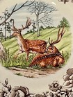 Legend Deer Plates     Choose Your Size