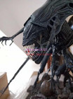 Alien Queen Statue Figure Model Collectible Resin Painted Limited Sideshow