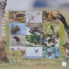 Worldwide Birds Stamp Mnh Mint Collection Full Sets Different Countries Lot Ed 1