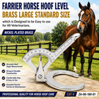 Horse Hoof Level Brass Large Standard Size