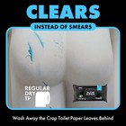 Dude Wipes - Flushable Wipes 6 Pack  288 Wipes  Unscented  Extra-large Wet Wipes