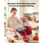 Uimoso Electric Tomato Strainer 800w Food Mill   Sauce Maker 88 Lbs h Red Home