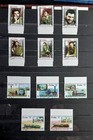 Great Stamp Collection From Latin America   South America With Many Great Sets 