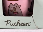 Pusheen The Cat Ramen Bowl With Chopsticks New In Box Enesco  box Is Worn  