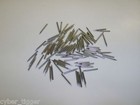 100 Loud Tone Needles For Antique Reproducer Fits Victor Victrola Or Columbia