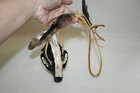 Skunk Skull Necklace Taxidermy Small Mammal Leather Cord Jr Charlie Fast Artwork