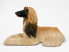 Vintage 1988 Sandicast Afghan Hound Blonde 202 Sandra Brue Dog Sculpture Usa 10 