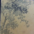 Vintage Japanese Painting  bijin-ga Print On Shikishi shuho Yamakawa  h165c