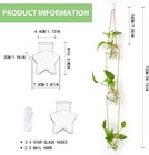 Xxxflower Wall Hanging Propagation Station   3 Tiers Star Shaped Glass Flower Va