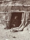 Antique Native American Wikiup Apache Indian Dwelling Desert Photo C1900-1930