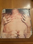Ted Nugent - Cat Scratch Fever - 1977 - Epic Je 34700 Vinyl Record See Below