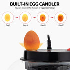Automatic Incubator 12 Eggs Digital Poultry Incubator