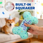 Dog Birthday Toys Dog Squeaky Toys Stuffed Plush Puppy Chew Toy Bone Pet Toy