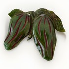 Vintage 1950   s Bakelite Carved Green Strawberries Lg Brooch Pin Tested 2 5   