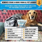 Enzymatic Pet Laundry Detergent For Dog Beds   Cat Urine Odor Removal