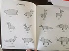 Oragami Fun Kit - Birds  Animals  Easy Origami - John Montroll