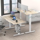  55 X 28 Inches Electric Height Adjustable Standing Desk With 55-inch Maple