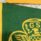 Vintage Girl Scout And Brownie Pennants And Brownie Hat