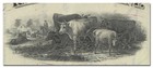 Missouri  Kansas And Texas Railway Company Stock Certificate  1880 s 