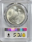 Peace Silver Dollar 1925 Pcgs Ms 63 Uncirculated  1 Coin