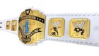 Intercontinental Title Heavyweight Championship Wrestling Replica Belt 4mm Brass