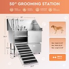 Secondhand 50in  Professional Dog Grooming Tub For Large Dogs W Retractable Ramp