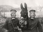 German Soldiers Wearing Gas Mask Photo W donkey World War I  Germany 1917 Scary