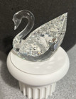 Swarovski Crystal  Large Swan  Centenary 100 Years Figurine Box W Coa