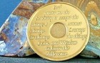 Alcoholics Anonymous Aa 20 Year Bronze Medallion Coin Chip Token Sobriety