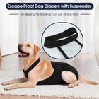Washable Female Dog Diapers With Suspenders reusable Dog Period Diapers 2xl