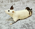 Taxidermy Gaff- Feejee fiji Mermaid  Mermaid Rat Rogue Taxidermy Oddities