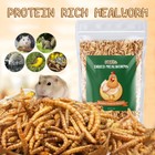 Dried Mealworms Bulk 10oz For Chickens Birds Bluebirds Hamsters Hen Meal Worms
