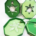 Swarovski Crystal Annual Edition Christmas Star Ornament 2024 5661079 Us Stcok