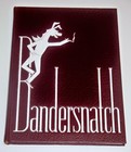 Liza Minnelli 1962 Scarsdale Ny High School Bandersnatch Yearbook  Judy Garland
