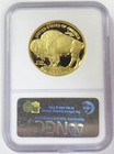 2007 W Gold Us  50 American Buffalo 1 Oz Proof Coin Ngc Pf 70 Ultra Cameo