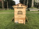 Upgrade 7x Auto Honey Hive Beehive Frames   Beekeeping Brood 2 Layer Box House