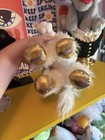 Webkinz Golden Pegasus Please See Photos