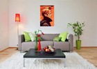 David Bowie - Low Poster 24x36 Inches