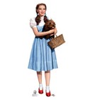 The Wizard Of Oz Dorothy Scarecrow Wicked Witch Lifesize Standup Standee Cutout
