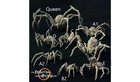 Giant Spiders - Resin Tabletop Miniature
