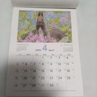Animal Calendar 2026 April Start Cute Animals  Wall Poster  Durable Mail